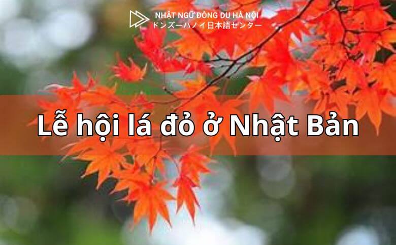 Lễ Hội Ngắm Lá Đỏ Ở Nhật Bản Vào Tháng 10 6 Ngắm lá đỏ ở nhật