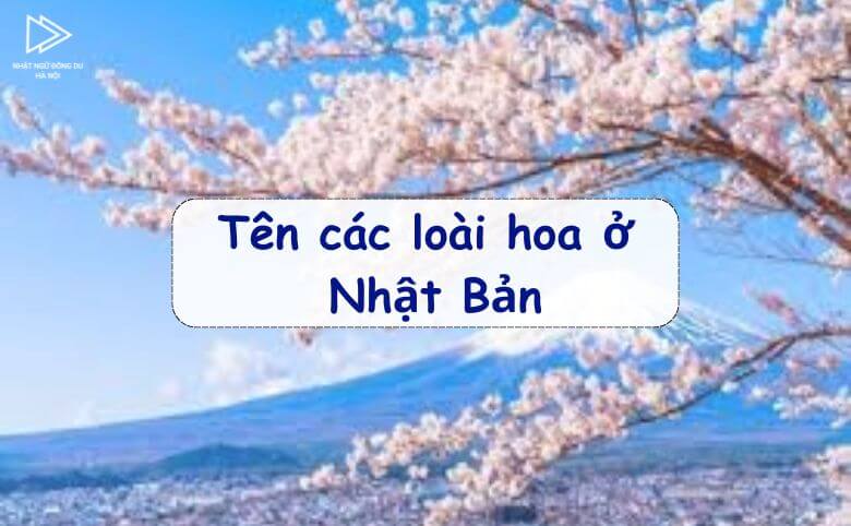 Tên Các Loài Hoa Ở Nhật Và Ý Nghĩa 1 Tên các loài hoa ở nhật