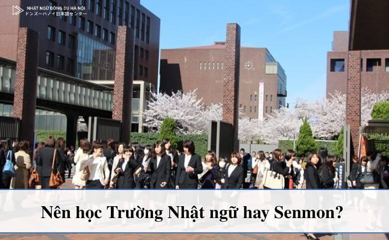 Nên học Trường Nhật ngữ hay Senmon
